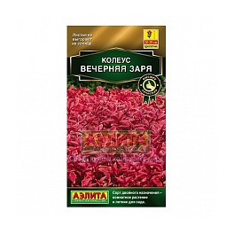 Колеус Блюме Вечерняя заря 10шт 21605